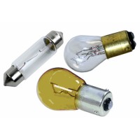 Light Bulbs (16)