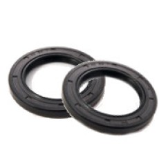 Bearing Seal